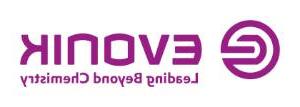 Evonik Logo